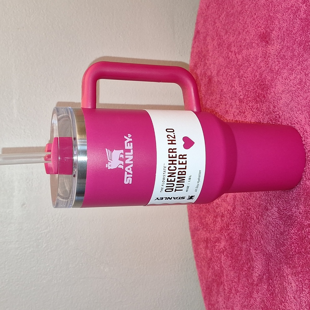 Valentines Day Stanley